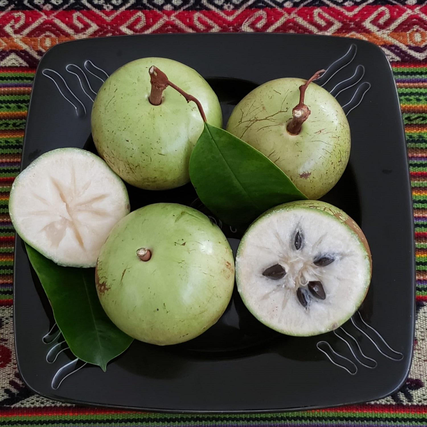 CAIMITO, STAR APPLE (Chrysophyllum caimito) - variety: Green star apple